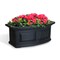 Mayne Nantucket Window Box 2' - Black 4829-B - alternate 5